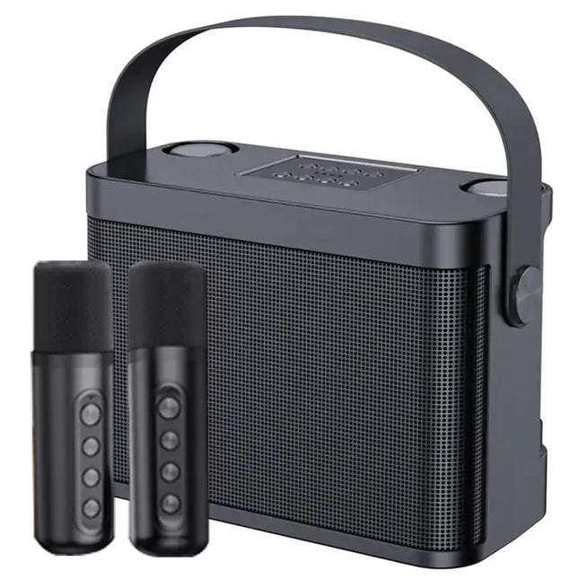 SkyDisco YS-219 Karaoke Machine with 2 Wireless Microphones Portable Speaker 30W Bluetooth - Black