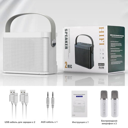 SkyDisco YS-219 Karaoke Machine with 2 Wireless Microphones Portable Speaker 30W Bluetooth - White