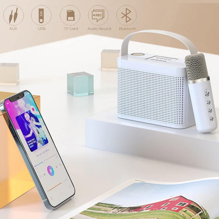 SkyDisco YS-219 Karaoke Machine with 2 Wireless Microphones Portable Speaker 30W Bluetooth - White